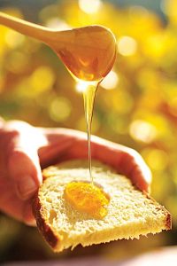 My First Tastes of Fresh Honey Image